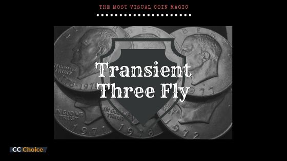 Transient Three Fly Special Sale